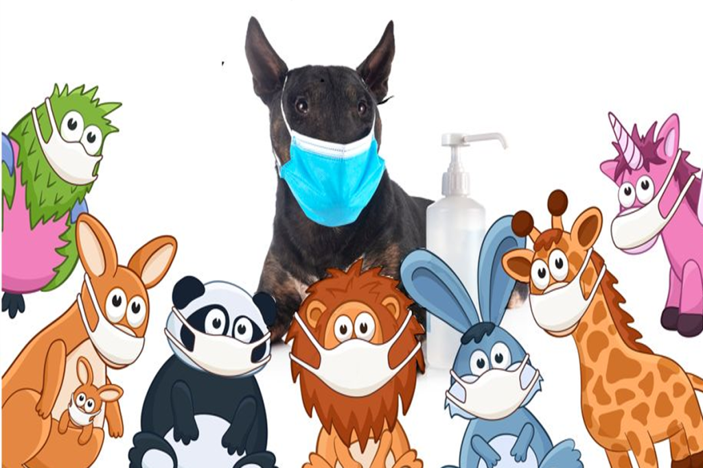 ¿es posible que los animales nos enfermen? (sesión 3)