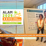 Lactobacillus acidophilus y Staphylococcus epidermidis.